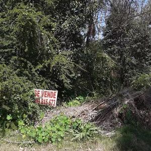 Terreno En El Tesoro