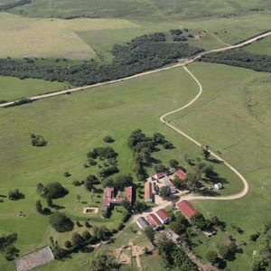 Campo En  Treinta Y Tres