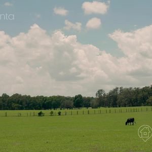 Campo En Venta - Lavalleja