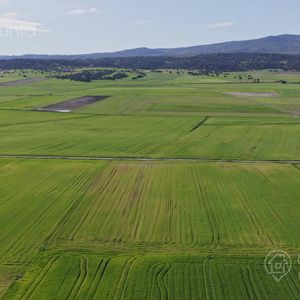 Campo En Venta - Tacuarembó