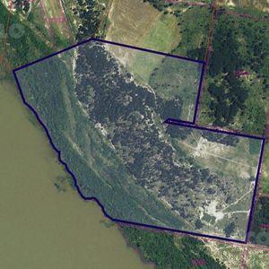 Excelente Campo En Venta Con Costa Al Río De La Plata.