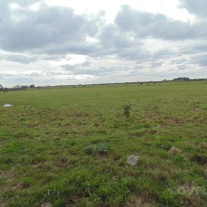 Campo En Venta En Colonia Estrella, Carmelo