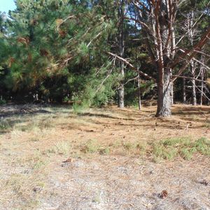 Exclusivo Terreno En Venta En Balneario Zagarzazú, Carmelo: Tu Oportunidad De Inversión Y Relax.