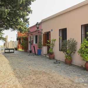 Casa En La Ciudad Vieja De Colonia, Alquiler Temporario.