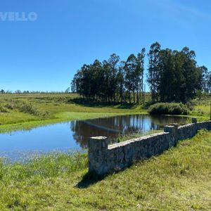 Venta Campo 31 Hectáreas - José Ignacio