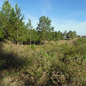 Exclusivo Terreno En Venta En Balneario Zagarzazú, Carmelo: Tu Oportunidad De Inversión Y Relax.