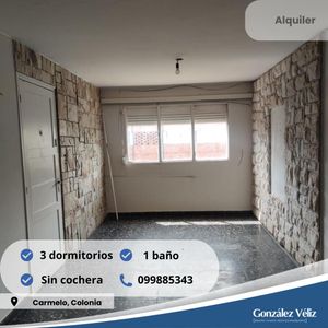 Apartamento - Zona Norte