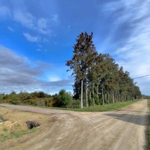 Lotes De De 600m2 Y 1100m2 En Linda Zona De Expansión De La Ciudad 