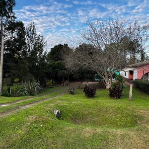 Chacra En Carmelo