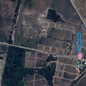 6 Chacras Cada Una De 1hectárea En Muy Buena Ubicación