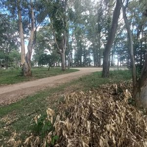 Terreno Con Amplio Frente Metros De La Playa En Balneario El Ensueño