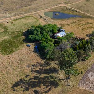 Campo En Otras