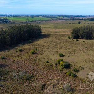 Campo En Rocha