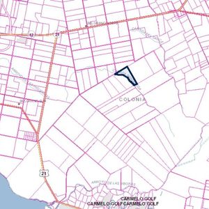 Campo De 21has Ubicado A 11km Del Puerto De Nueva Palmira