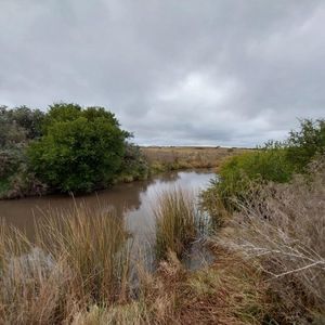 Muy Lindo Campo De 30 Hectareas En Valle Del Solis