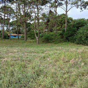 Venta Terreno En  Punta Del Diablo
