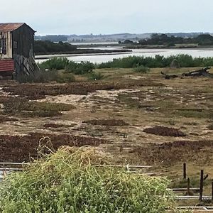 Terreno En Santa Monica - Tm4147171