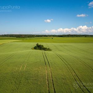 Campo En Venta - Lavalleja