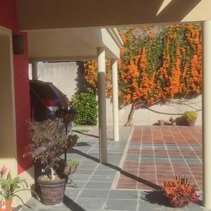 Casa - Carmelo