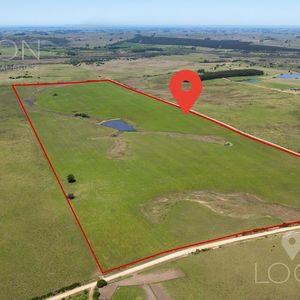 Campo En Garzon 60 Has - Lcs1220988