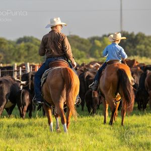Campo En Venta - Tacuarembó