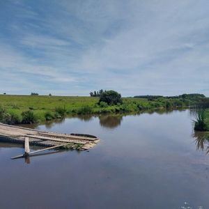 Campo 70 Hectareas A Minutos Del Mar Y Jose Ignacio - Tm7438773