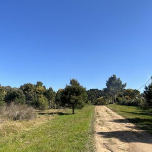 Terreno - San Vicente