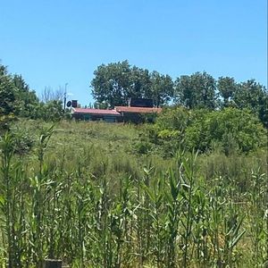 Venta Chacra Ruta 102 Próximo Camino Mendoza