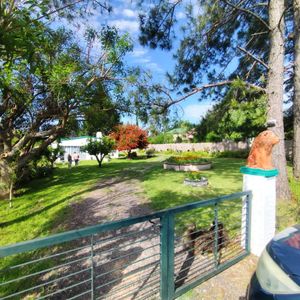 3 Casas En Un Mismo Padrón Ubicadas Sobre Ruta 21 A 7km De Carmelo