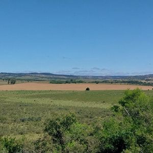 Excelente Campo Completo De 54 Hectareas Lavalleja