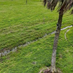 125 Hectáreas En Rincón Bravo, Rocha