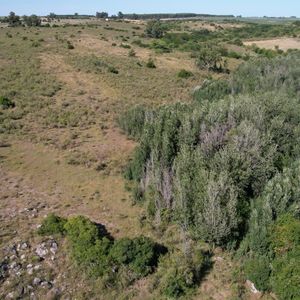 Campo En Rosario