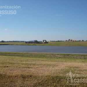 Maldonado - Lote Venta Laguna De Los Cisnes - Punta Ballena -