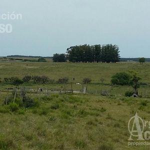 Maldonado - Chacra Venta De 14 Hectareas. Polo Medellin