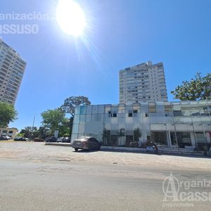 Punta Del Este - Local En Venta En Block - 3 Locales - Av. Roosevelt Parada 5