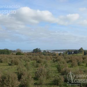 Maldonado - Chacra Venta - Ruta 12 - Punta Ballena - Laguna De Sauce