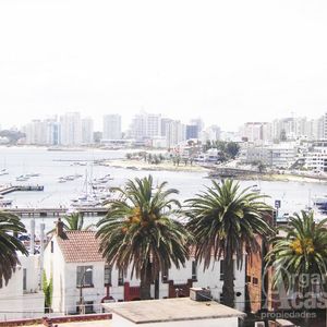Punta Del Este - Departamento - Peninsula