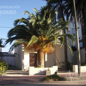 Local - Península - Punta Del Este - Padrón único