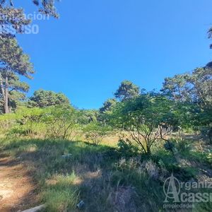 Terreno - Sobre Av. Pedragosa Sierra - 5.951 M2 A Pocas Cuadras Del Shopping Punta Del Este