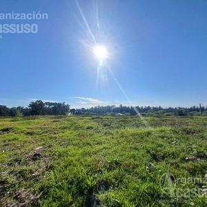 Terreno En  Venta 8.424 M2 Sobre Golf Punta Del Este