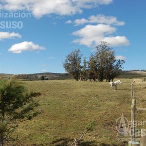 Chacra - Abra De Perdomo