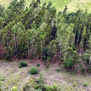 Venta De Terreno En José Ignacio
