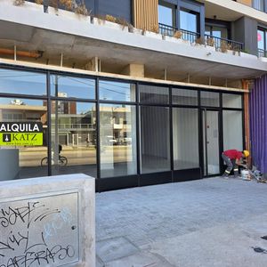 Luis Alberto De Herrera Casi Joanico, 9 Mts De Frente, 240 M2 , Estrena !!