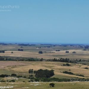 Chacra En Venta Ruta 39 Cerca De San Carlos 