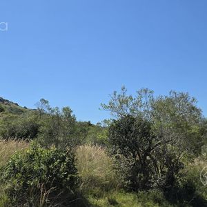 Chacras 5 Hectareas Financiadas 