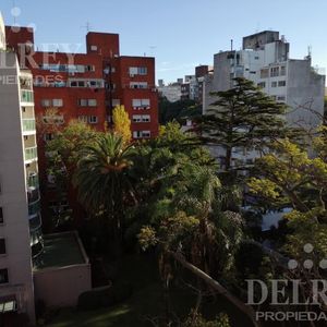 Alquiler Apartamento - Pocitos Delrey Propiedades