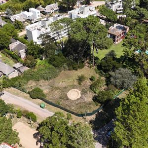 Terreno De Pablo Germani
