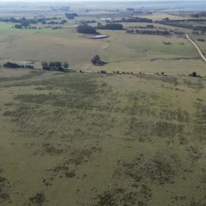 Campo De 100 Ha Zona De Ruta 104