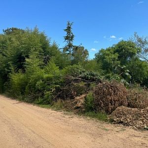 Terreno En El Tesoro