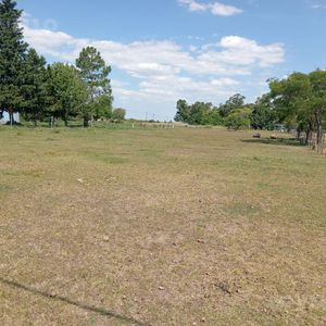 Terreno En Juan Gonzalez